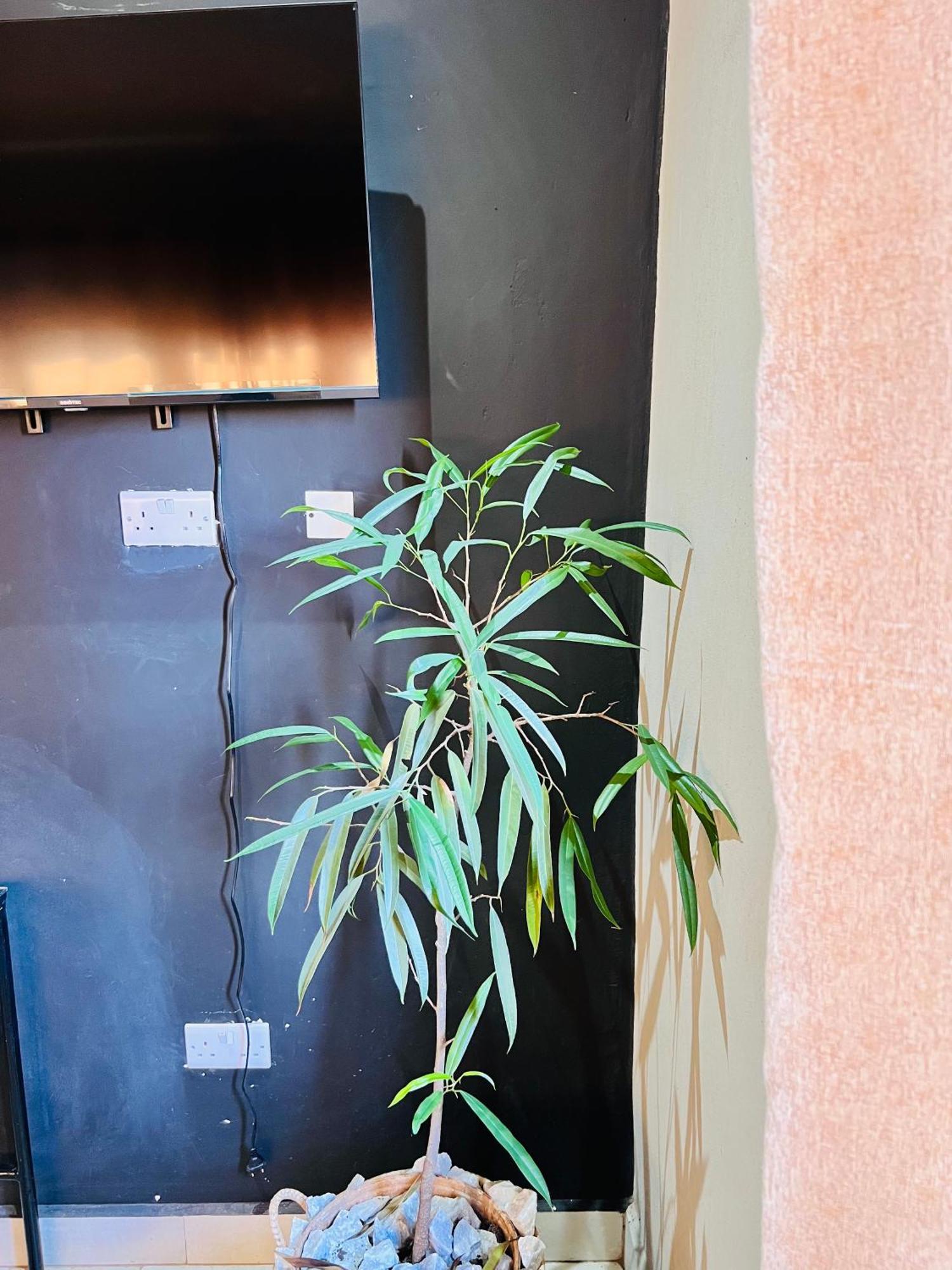 The Shed Venue & Boutique Hotel Lilongwe Luaran gambar